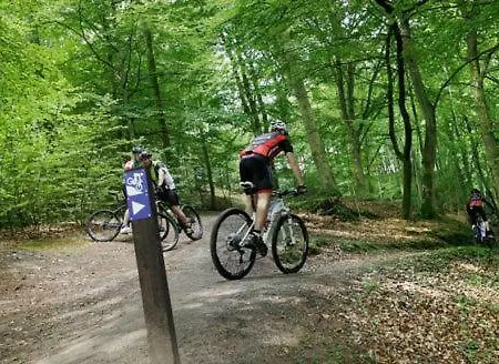 Albergue Spektrum & *