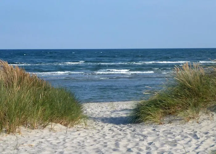 Spektrum & Hostal Sæby